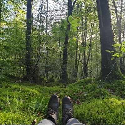 avatar for Fennec@piaille.fr