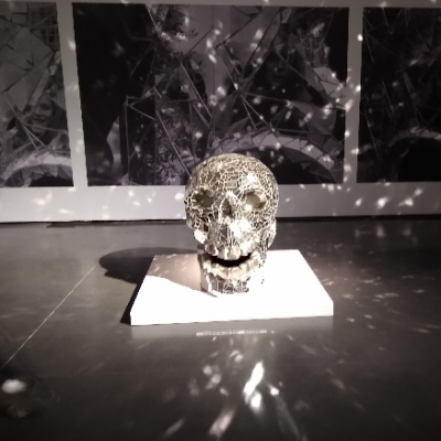 avatar for SchizoFreine@piaille.fr