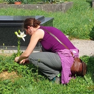 avatar for cdb_77@mastodon.online