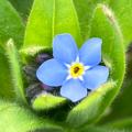 avatar pour BlueBooks@buecher.pnpde.social