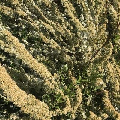 avatar for gggdol@mastodon.social