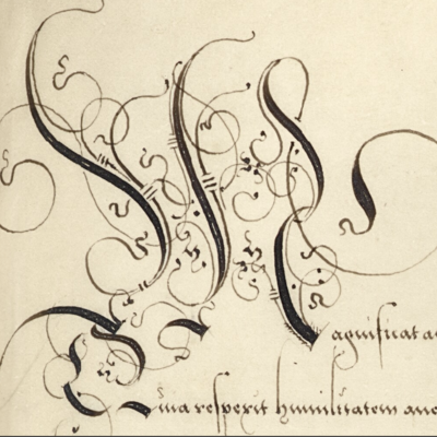 avatar for litteracarolina@mastodon.online