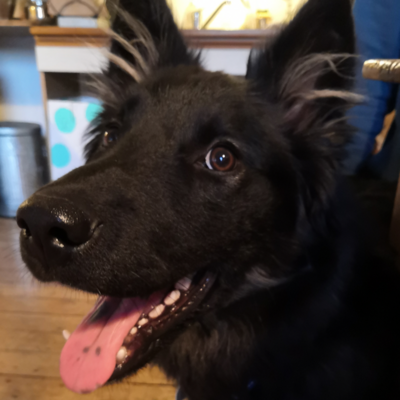 avatar for julian@social.piweb.be