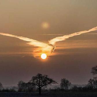 avatar for D_cence@mastodon.top