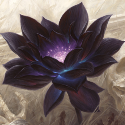avatar pour Nadru@mastodon.world