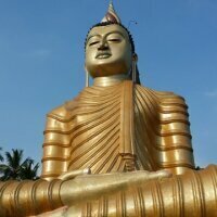 avatar for Aboumael@piaille.fr