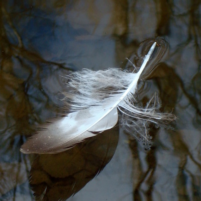 avatar for cathy_garcia_canales@piaille.fr