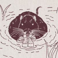 avatar for Ecoloki@pixelfed.fr