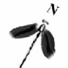 avatar for dmontagne@mapstodon.space