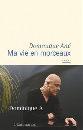 Dominique Ané: Ma vie en morceaux (Paperback, French language, 2018, Flammarion)