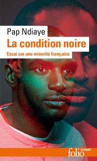 Pap Ndiaye: La condition noire (Français language, Gallimard)