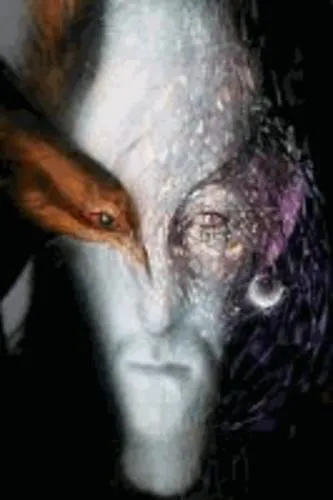 Neil Gaiman: The Absolute Sandman, Volume One (2006)