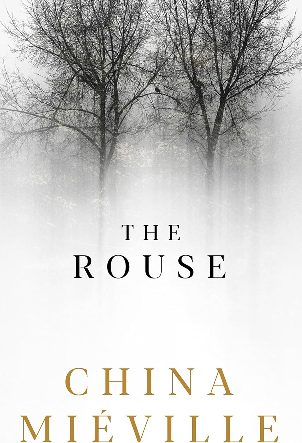 China Miéville: The Rouse (Hardcover, Picador)