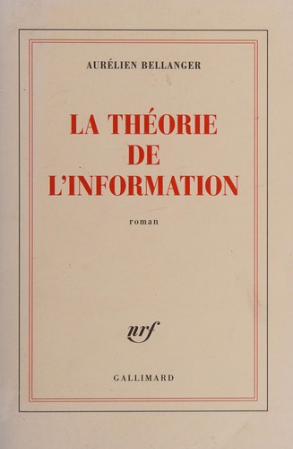 Aurélien Bellanger: La théorie de l'information (French language, 2012, Gallimard)