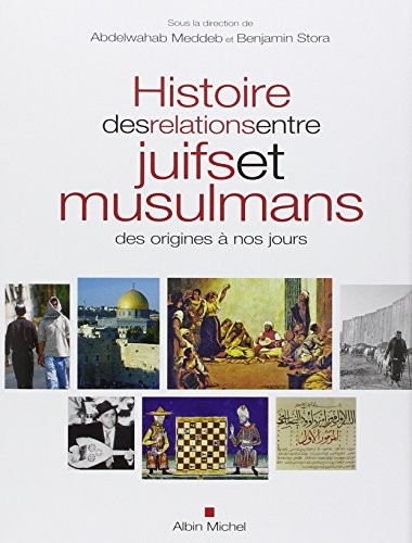 Benjamin Stora, Abdelwahab Meddeb: Histoire des relations entre juifs et musulmans (2013, Michel albin)