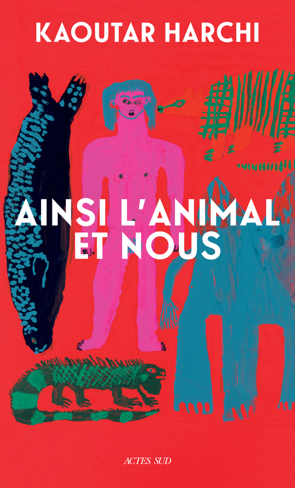 Kaoutar Harchi: Ainsi l'animal et nous (Paperback, Français language)