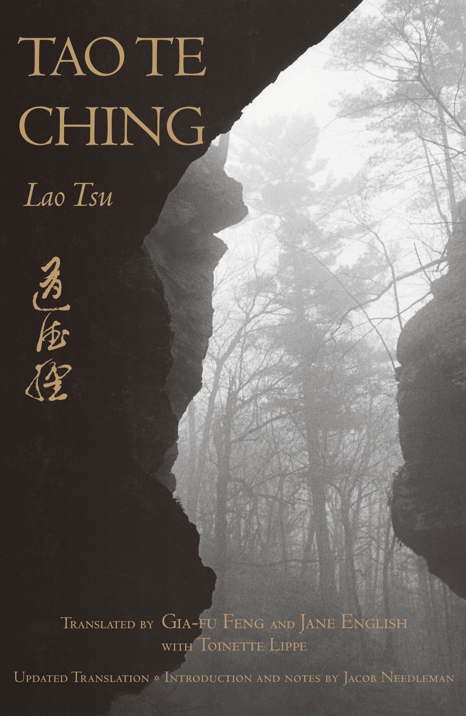 Toinette Lippe, Jacob Needleman: Tao Te Ching (Paperback, 1989, Vintage)