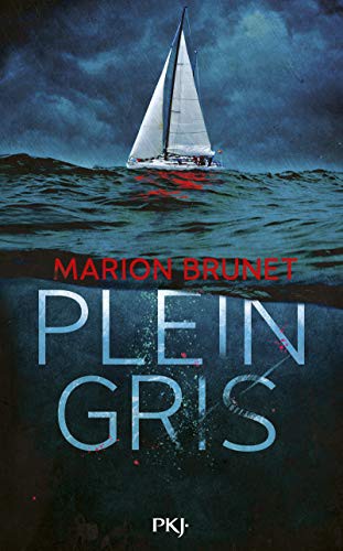 Marion Brunet: Plein Gris (Paperback, POCKET JEUNESSE)