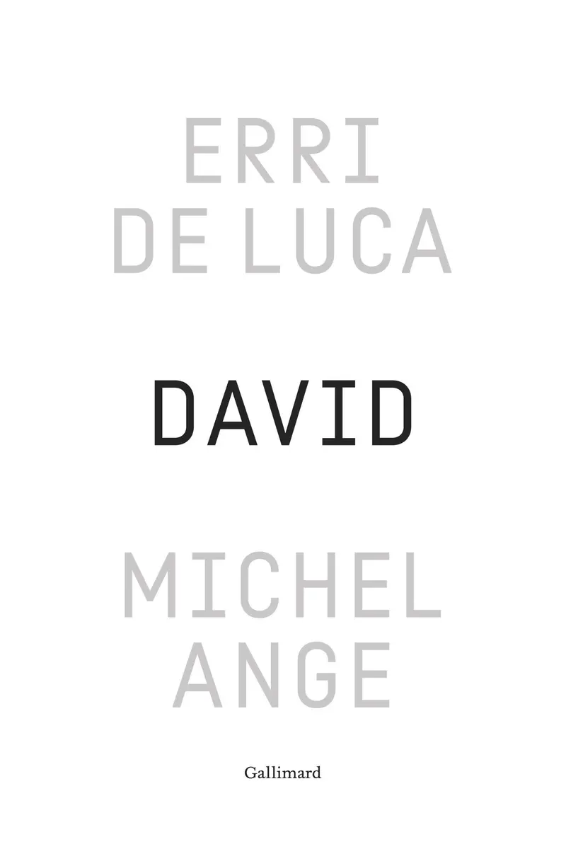 Erri De Luca: David, Michel-Ange (Paperback, Gallimard)