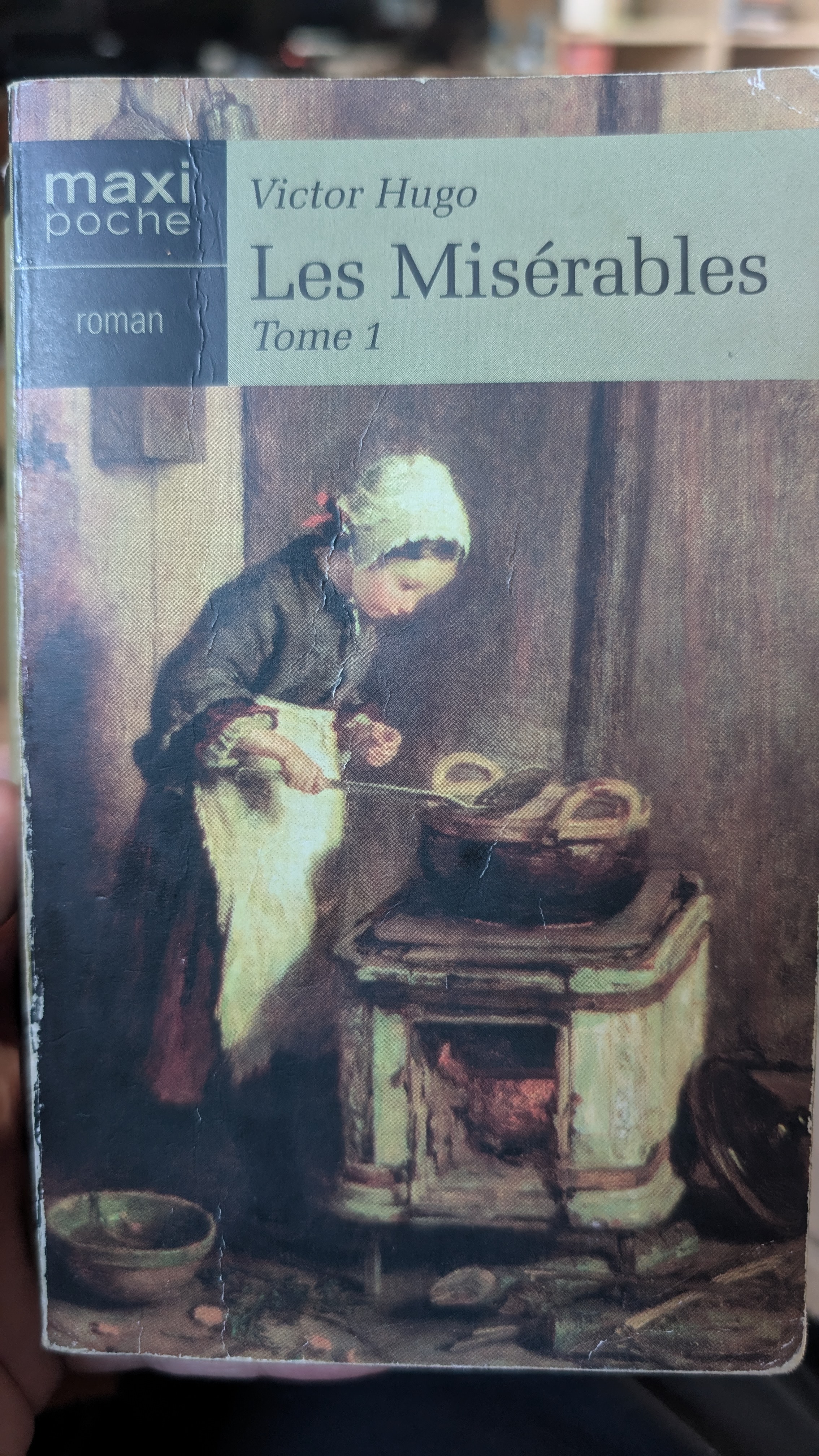 Victor Hugo: Les Misérables (Hardcover, Français language, 2005, Éditions de la Seine)