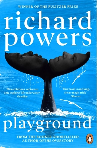 Richard Powers (duplicate): Playground (2024, Cornerstone Publishing)