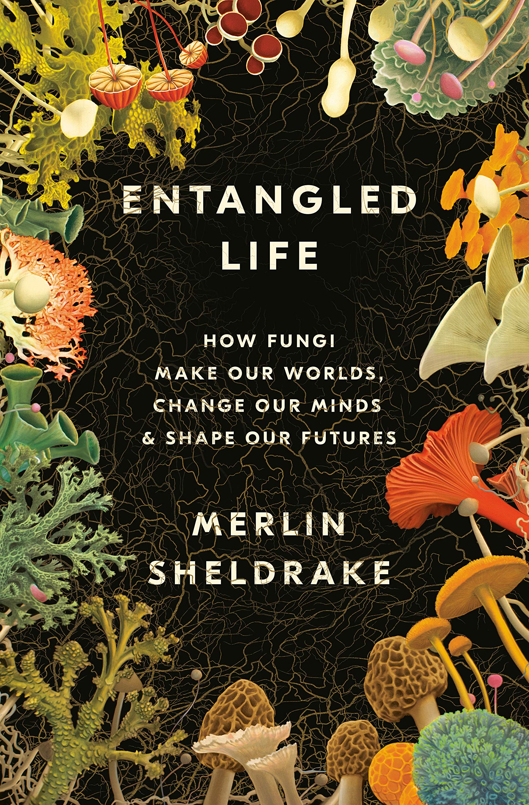 Merlin Sheldrake: Entangled Life (Paperback, 2021, Random House Trade Paperbacks)