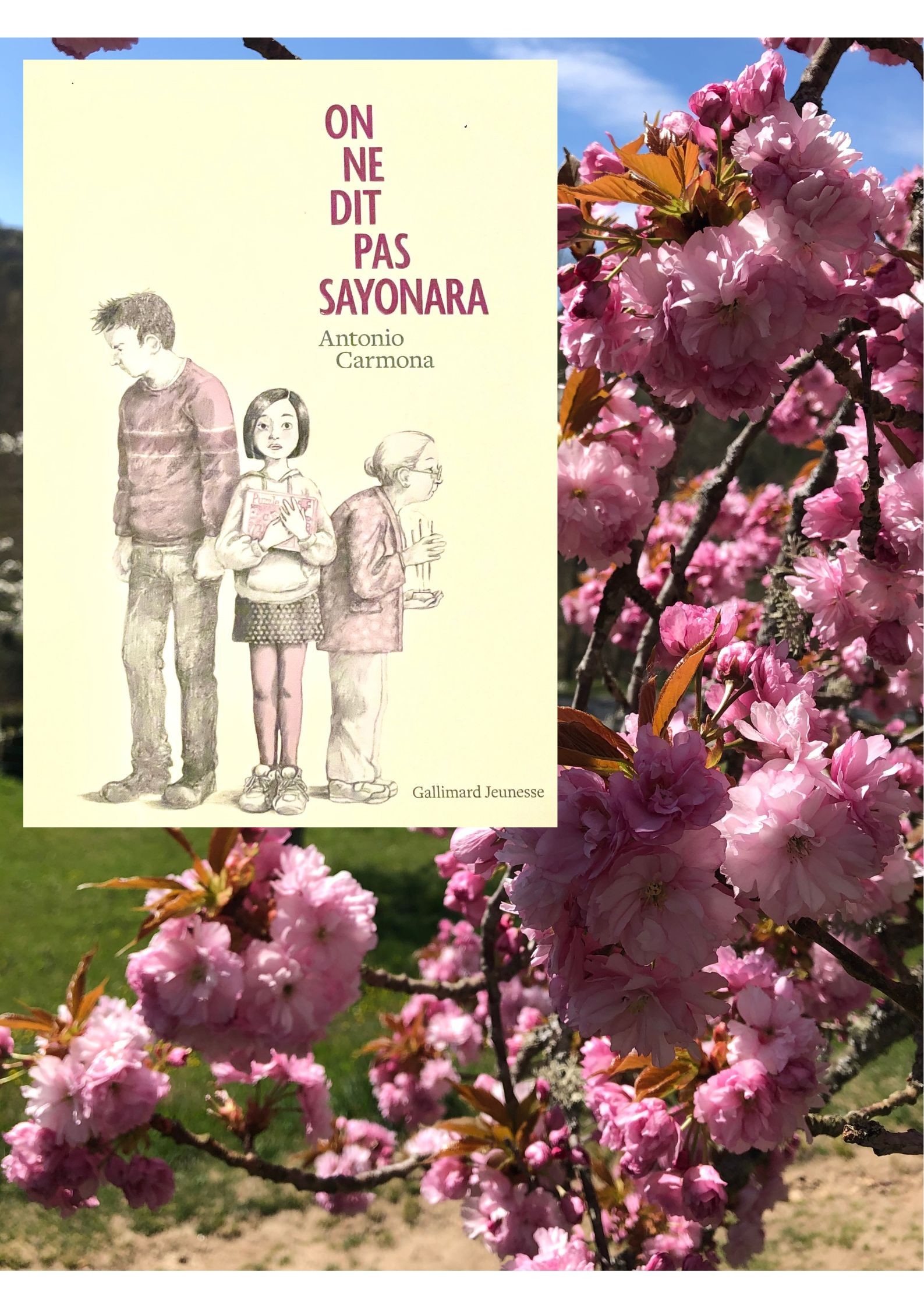 Couverture du roman "on ne dit pas sayonara" d'Antonio Carmona, éditions Gallimard jeunesse. Dessin d'un homme qui tourne le dos à une fillette de face et une grand-mère à chignon tournée vers la droite. En fond, un cerisier du japon en pleine floraison.