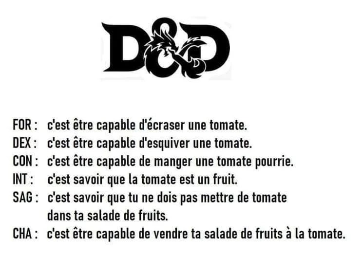 FOR : c'est être capable d'écraser une tomate.
DEX : C'est être capable d'esquiver une tomate.
CON : c'est être capable de manger une tomate pourrie
INT : c'est savoir que la tomate est un fruit
SAG : c'est savoir que tu ne dois pas mettre de tomate dans ta salade de fruits
CHA : c'est être capable de vendre ta salade de fruits à la tomate