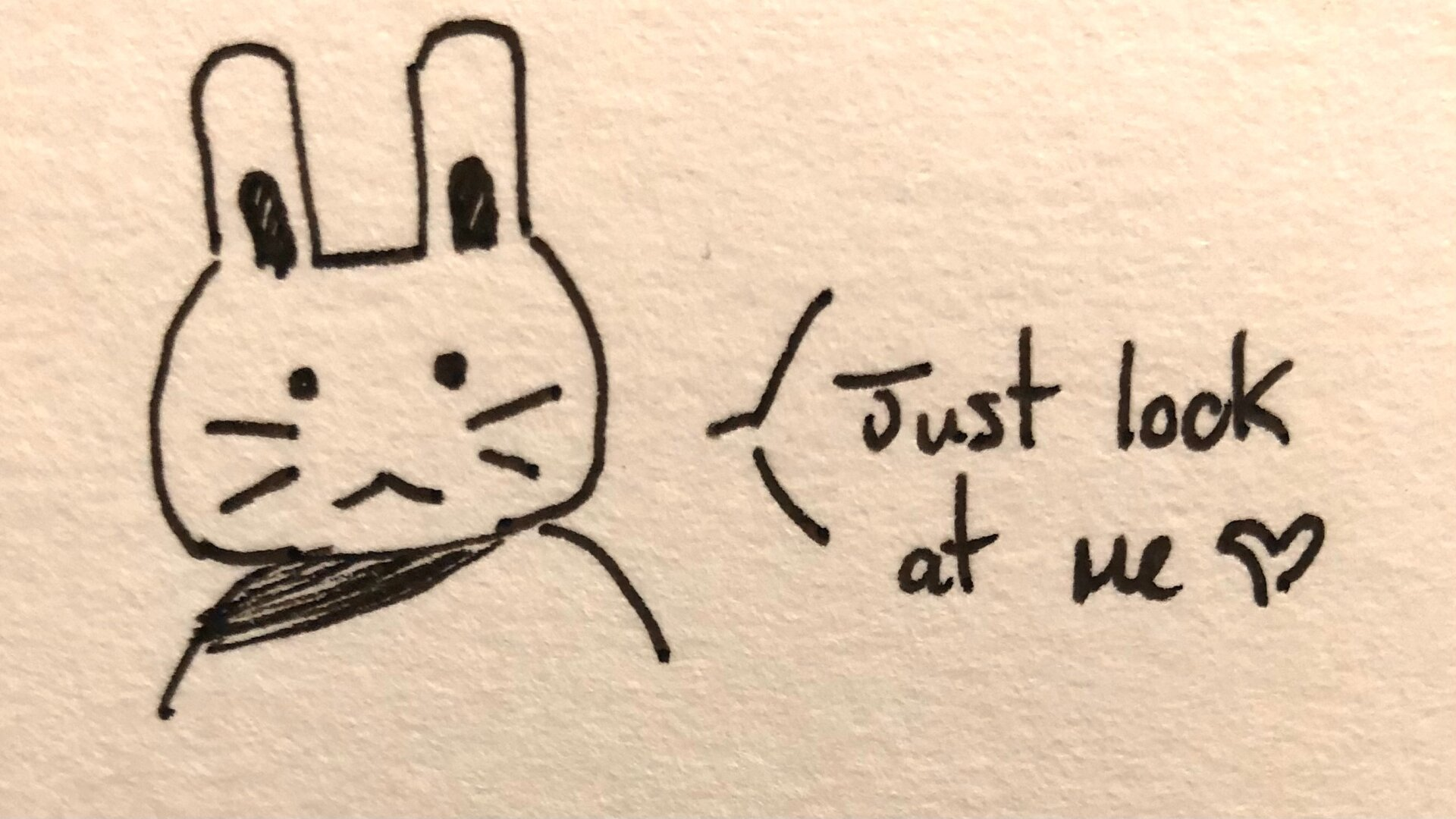 Cute bunny doodle. "Just look at me :)"